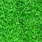 Sensory rice refill pack with vibrant colors, ideal for enhancing sensory play activities in kids' bins.